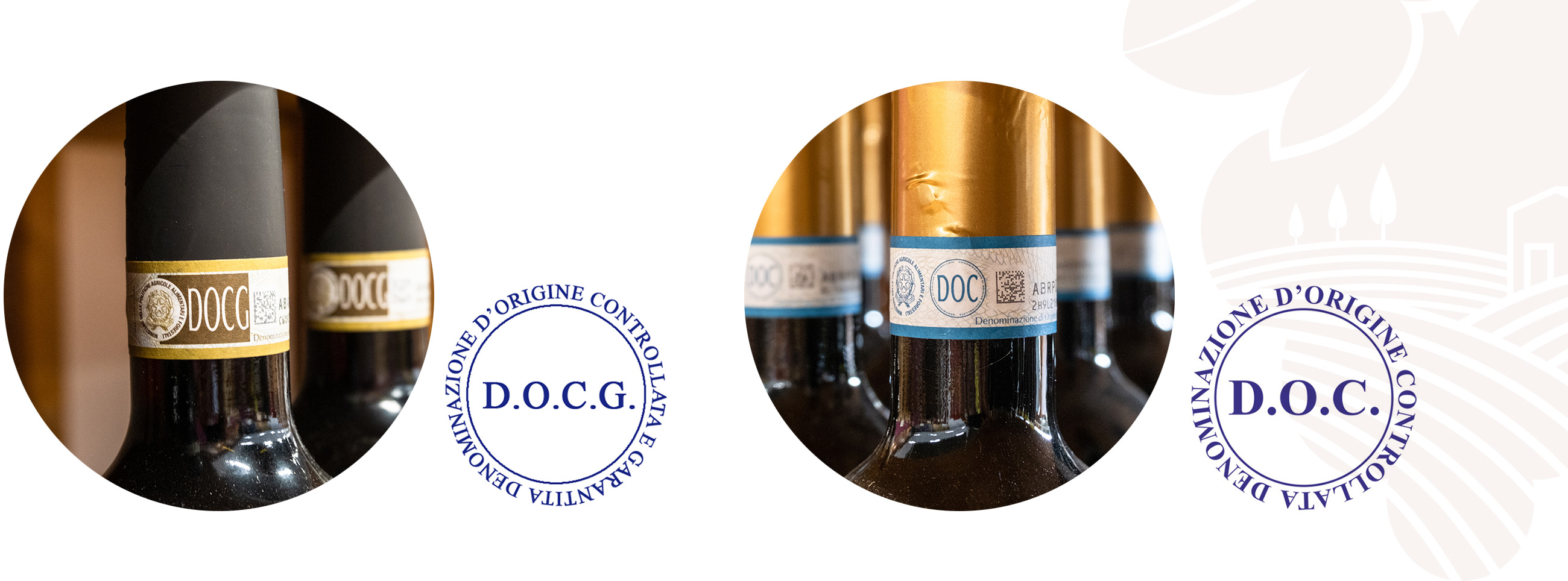 Vini DOC e vini DOCG: cosa significano queste sigle?