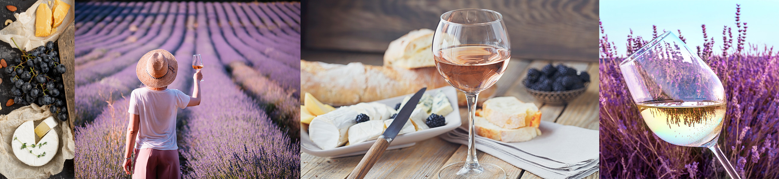 Elementi in comune tra vino francese e vino italiano