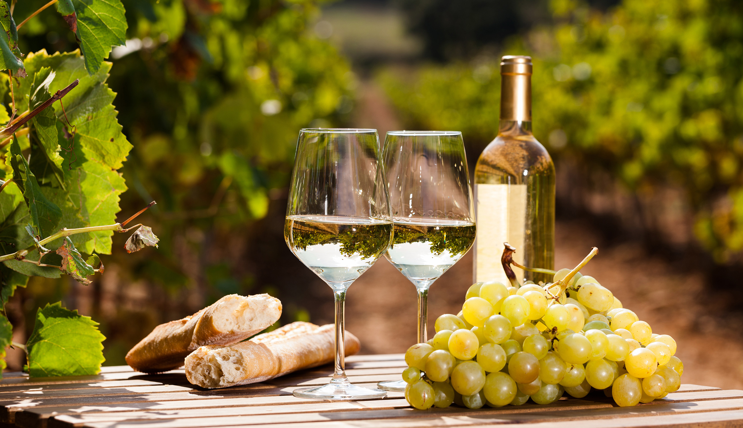 Traminer