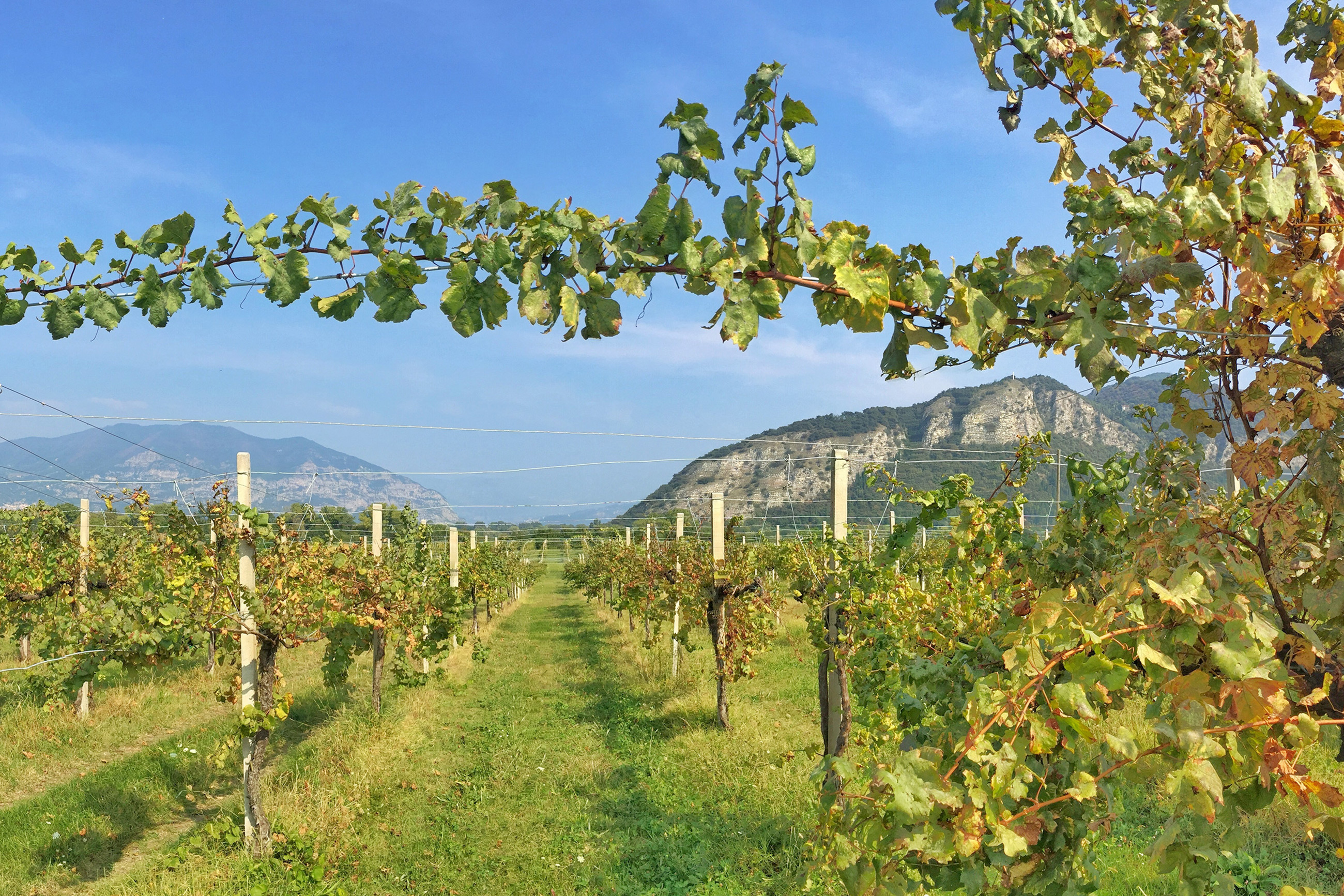 10 cose da sapere sul Franciacorta